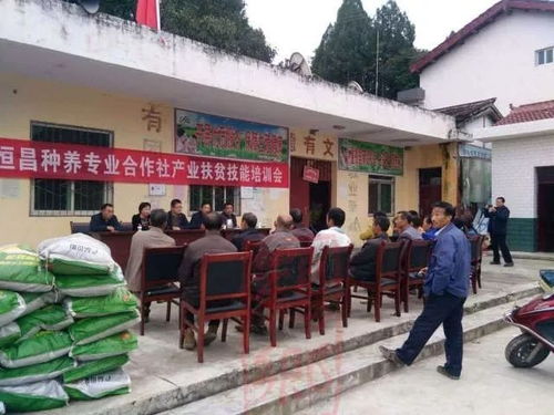 这样给农民出点子,讲方法,销售农产品才是切实的扶贫措施啊